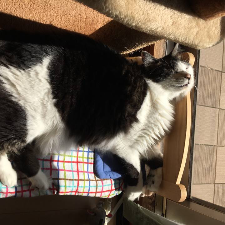 5417bf0c 556f 40ea 87cf 486a8211ae26 1550890342122