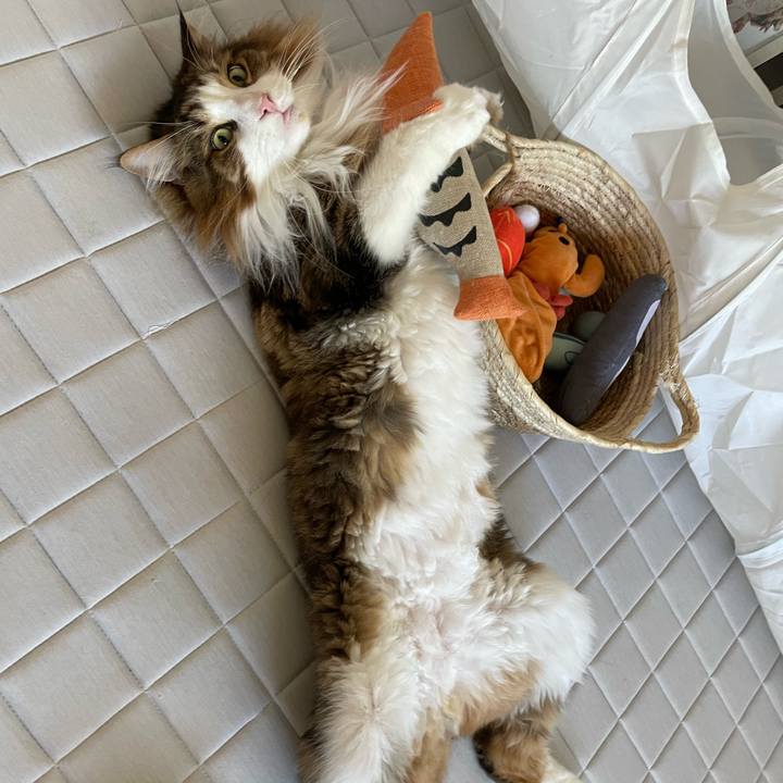 5417d8e1 3f50 4e7e ac95 44e1cec20871 1692223632681