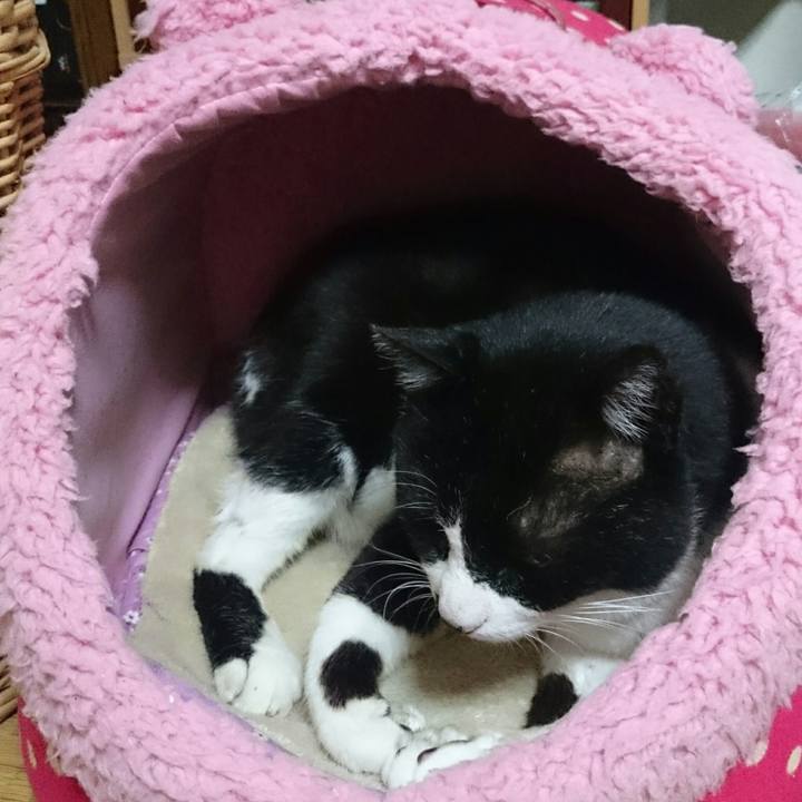 5417ed75 9030 484e 83d8 35f3dc0d95f2 1525864354862