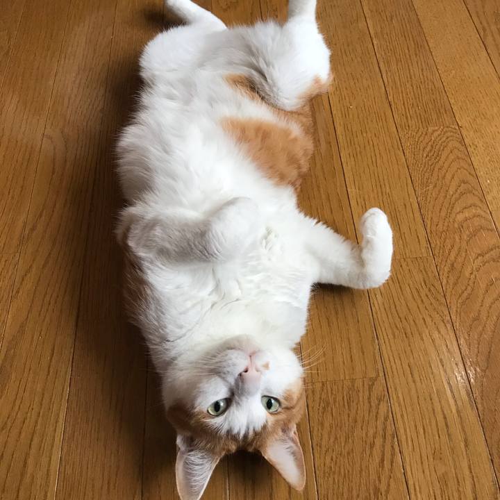 5417eecd 779a 43d1 b662 3d956a85ec53 1596234141590