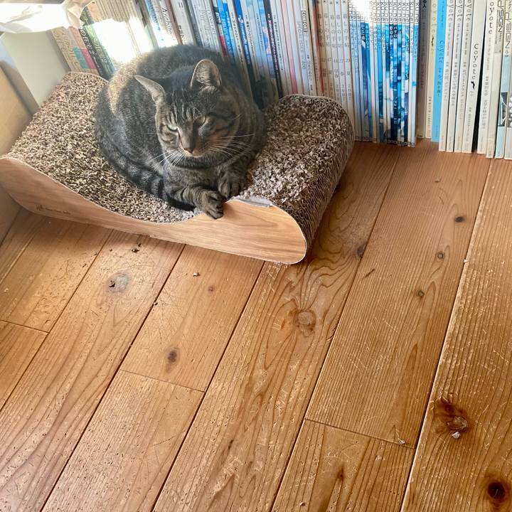 541834f1 d938 4251 a9d6 fe038aba7862 1666480796882