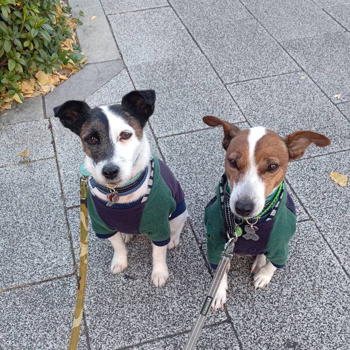 54186dff 9774 42b2 9220 c6f0bca57aa3 1704584895008