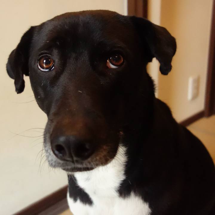 54189651 3c41 4fb8 ade8 14ecc712868c 1614871716396