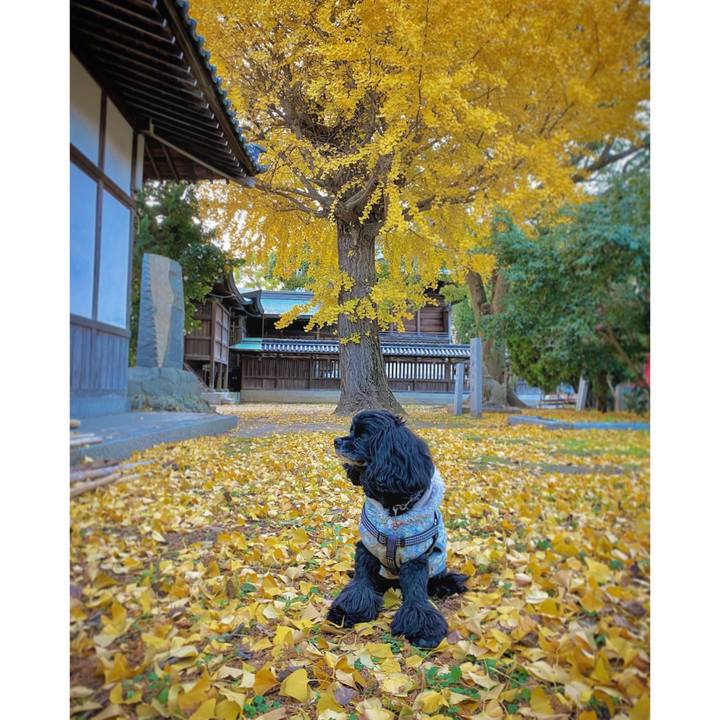 5418b0af 4b0c 47d1 9a0b d13b928192f2 1671347846185