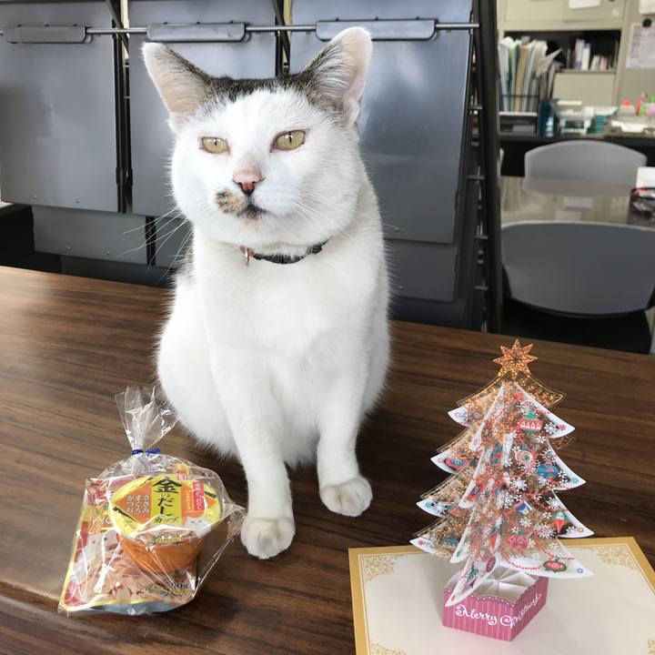 5418c33a d632 4d45 bef6 fe9ac3d38d0f 1577248526001