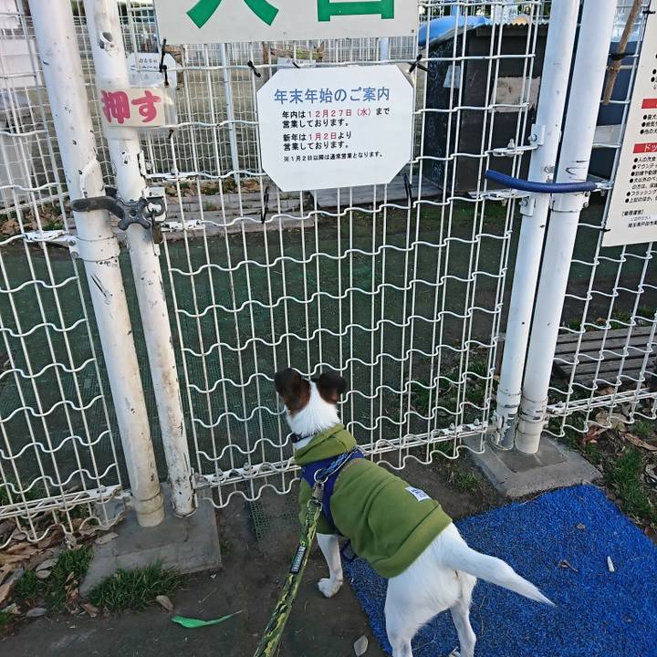 5418cdec 6144 4d6a 847f d54b3674f005 1514790082336