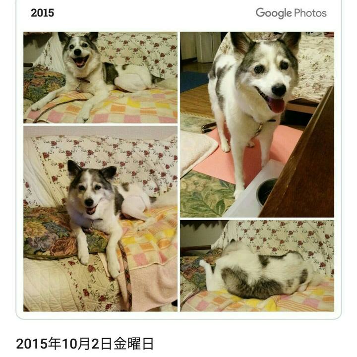 541912d6 c4fb 42d0 984b 6f1463f5b418 1538438924481