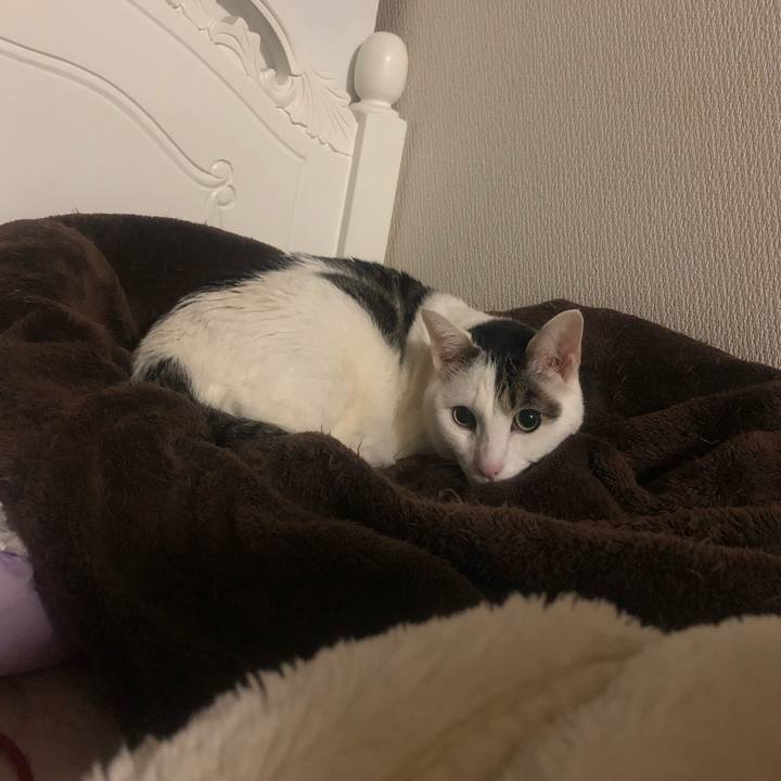 54194db9 3294 4e7b be6c e250b29b1bea 1552644565322