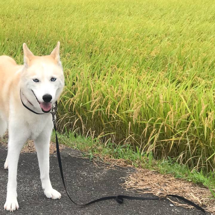 541954e2 a2ee 40db 90f1 a1065d2836f3 1759137136734