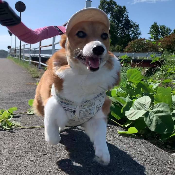 54195fbc ec0e 4361 8cb2 899c0864befe 1696651188703