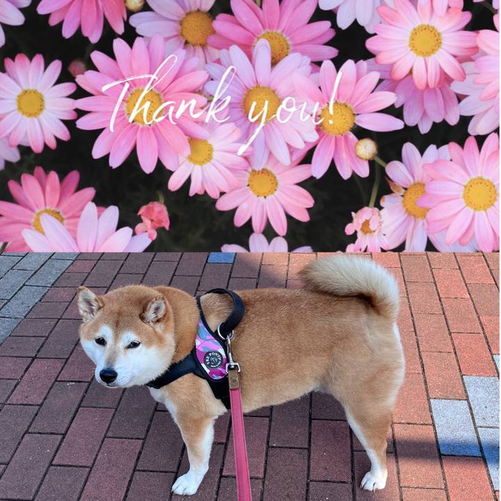 541985c3 0ac3 4bd6 b1f1 b3299e8a199b 1703893738000