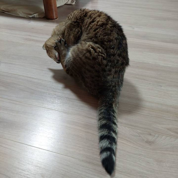 5419aab6 3f7f 4f3c b4d7 532c7c2d5e92 1649630454005