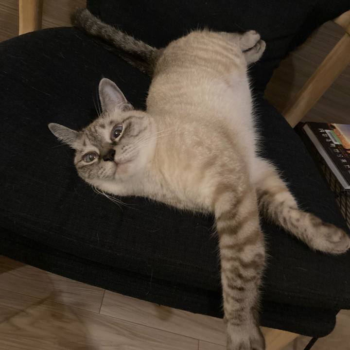 5419b290 f051 4750 b2c1 20c1043f5bad 1631967419527