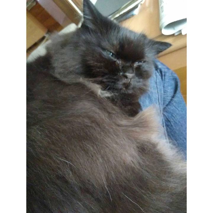 5419b70a cc4f 4f9a 9fbe eb789423f62a 1691916095273