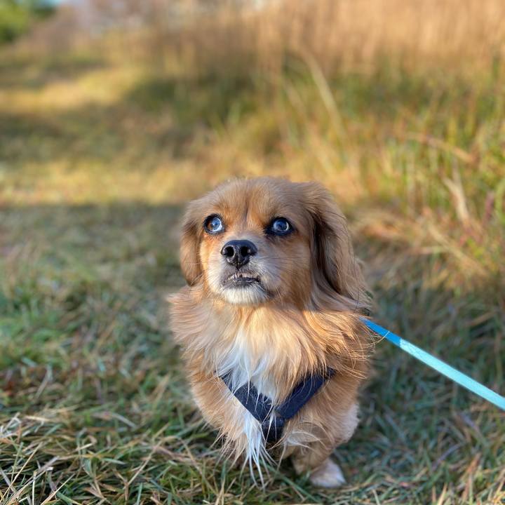 5419d809 4e22 4756 b8d9 eb56e5be41d0 1573358817051