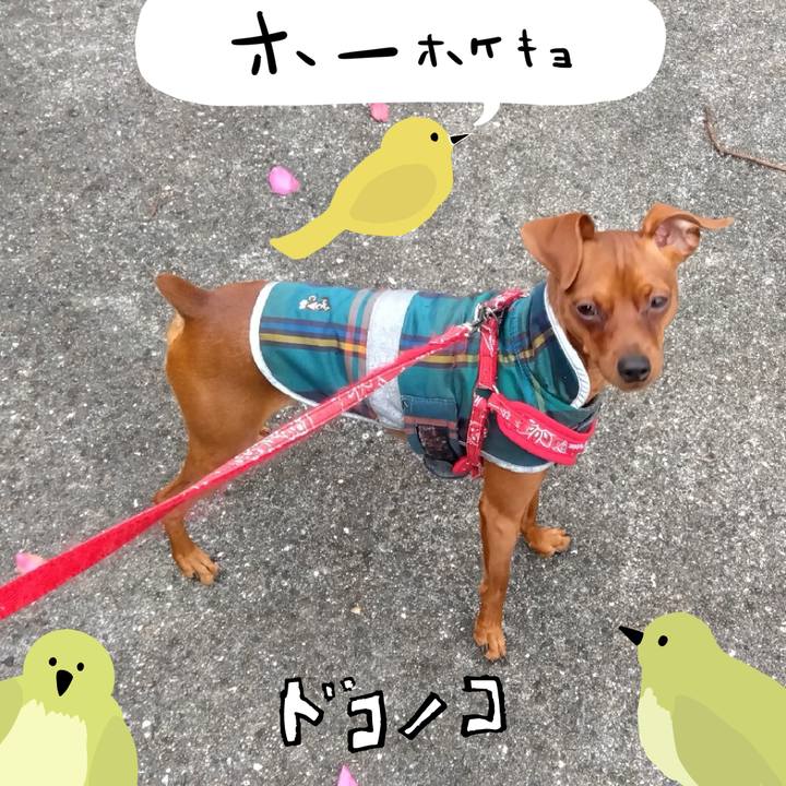 5419df5b b0d0 4793 bf79 bc4c9d6f4c7a 1711428724414