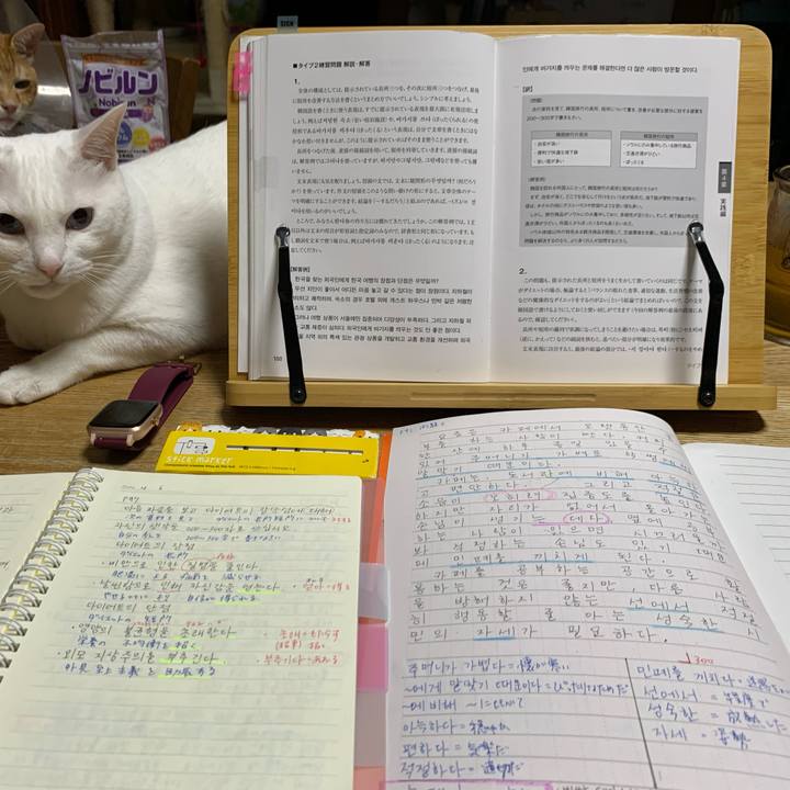 541a1c3f 5617 4d6a ae82 3f4649c07715 1623067331254