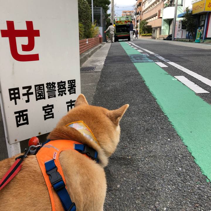 541a288d d7fd 4c4f a749 058df03d62bc 1574041523333