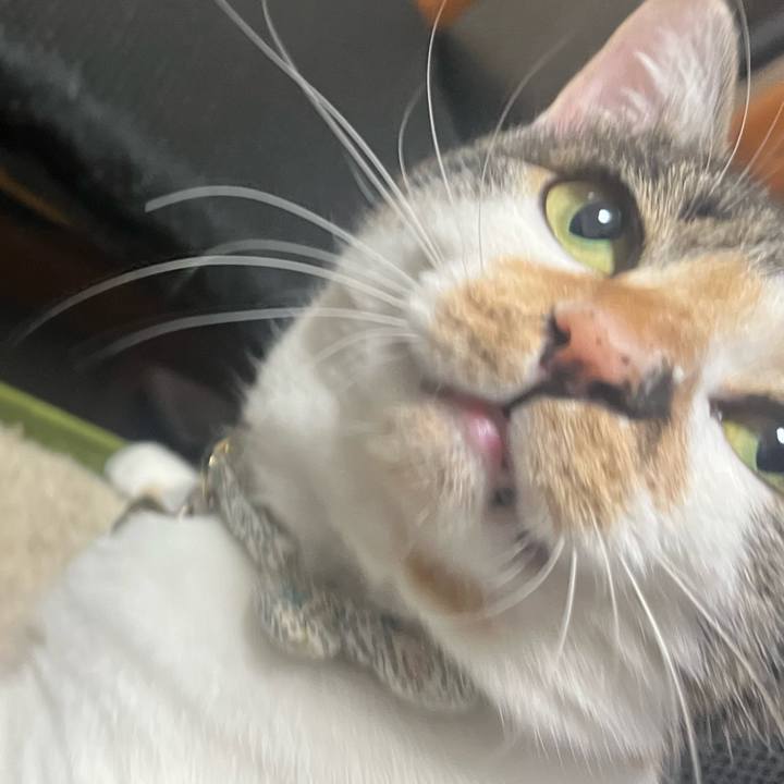 541a4bfe 820b 49e6 b22e 41a377e647ac 1767606330166