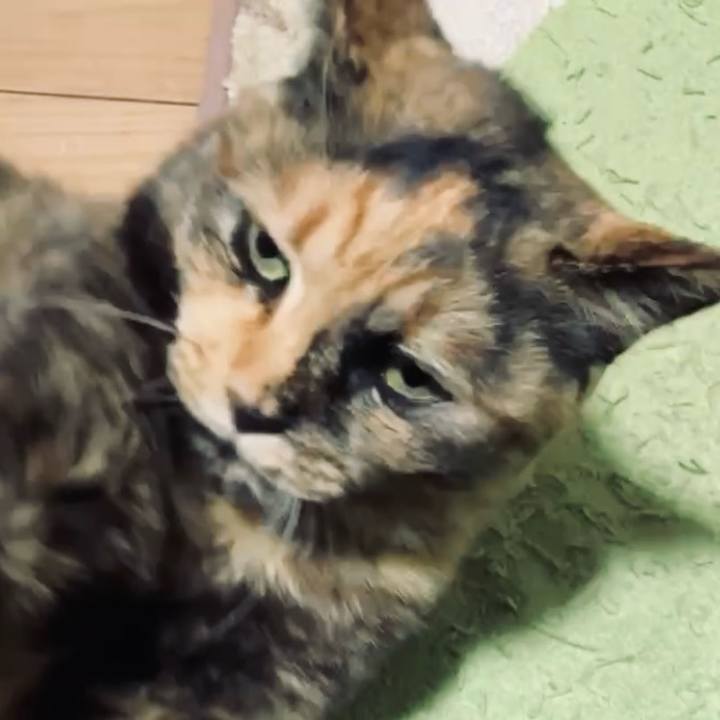 541a61d5 08aa 4c67 8510 8ccac7fe2090 1740249825363