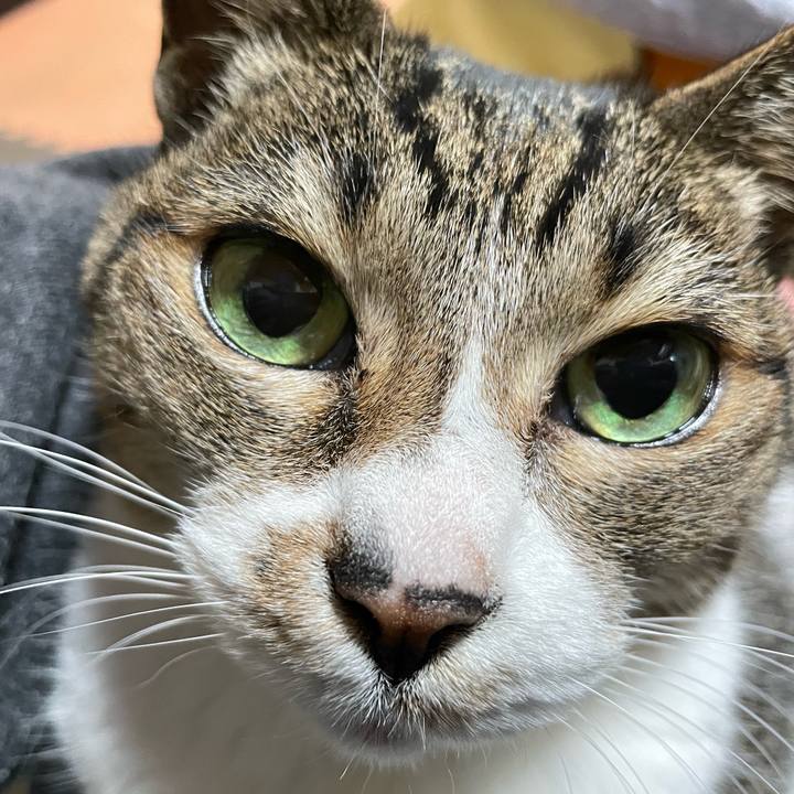 541a67c9 33ae 4812 884f 32c3dd4b38aa 1645838457367