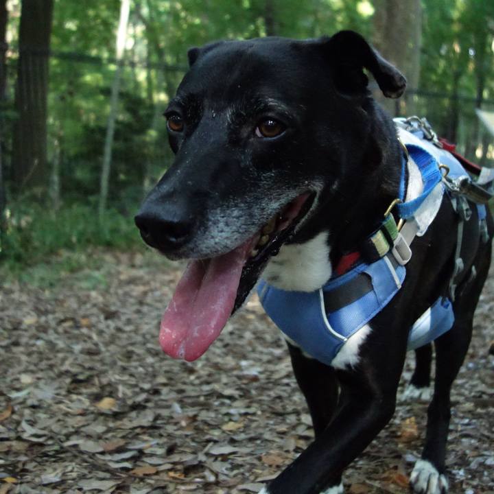 541aa20f bd3f 4ccd abff b2cc8ef67378 1721780906185