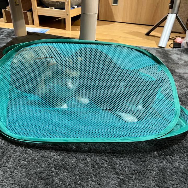 541abf8d 545e 4f6e 8398 664765a4bf64 1647694409400