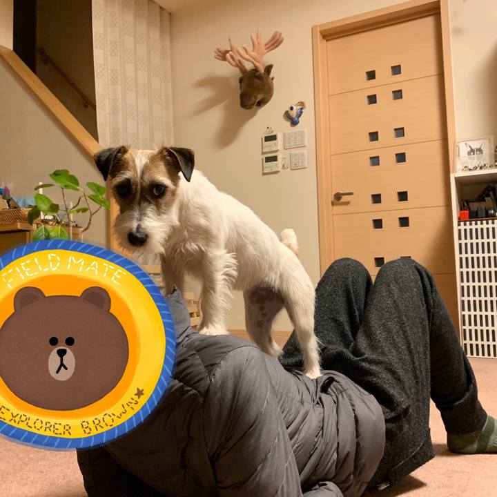 541ac02f 012c 4d60 b378 171e8e3d4d91 1584274897860