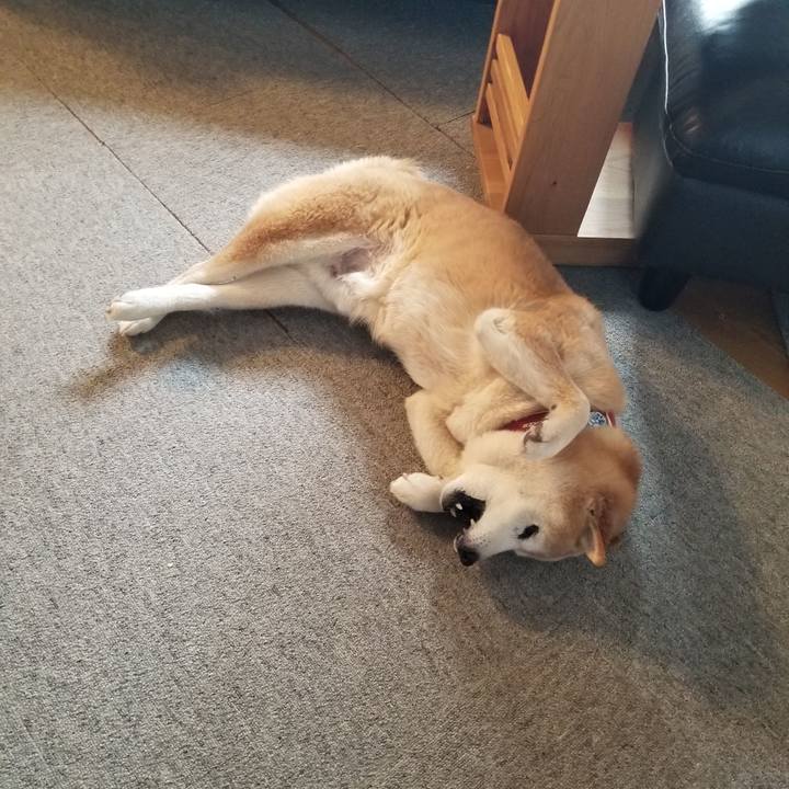 541b0e95 374a 4a31 a27a a2631b685b84 1741648951409