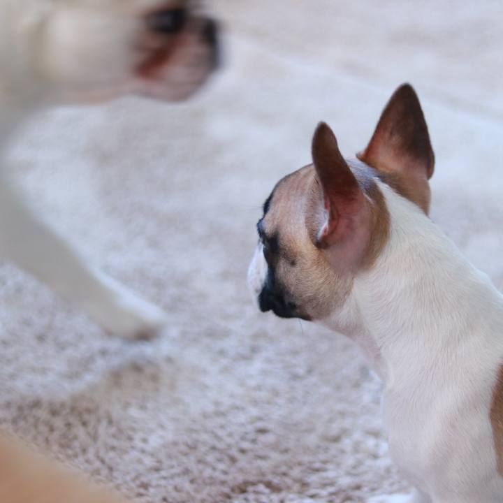 541b20e6 2176 4480 80f2 bfb6225be24d 1558835021538