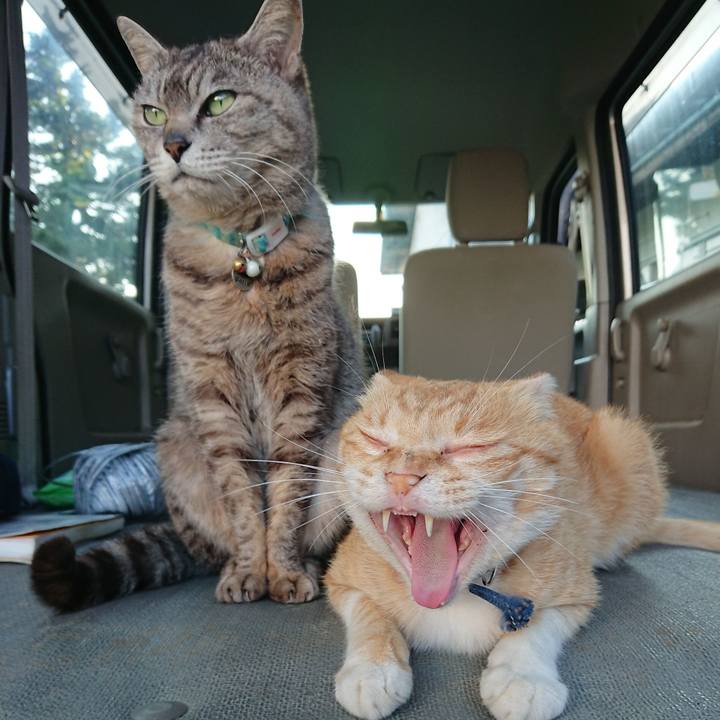 541b33ef b3c1 4557 836d b133655116a5 1561022683107