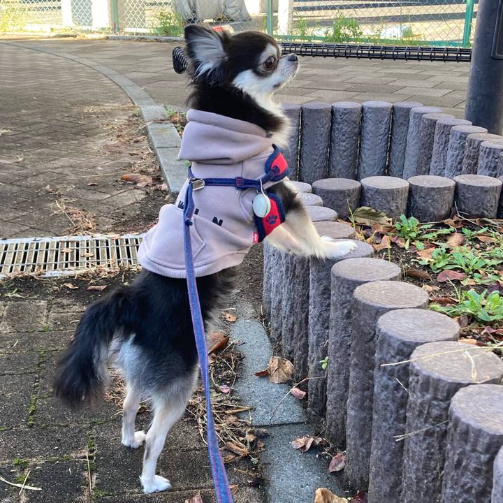 541b810c e139 43c1 a1e3 717f5e375bc2 1700320091952