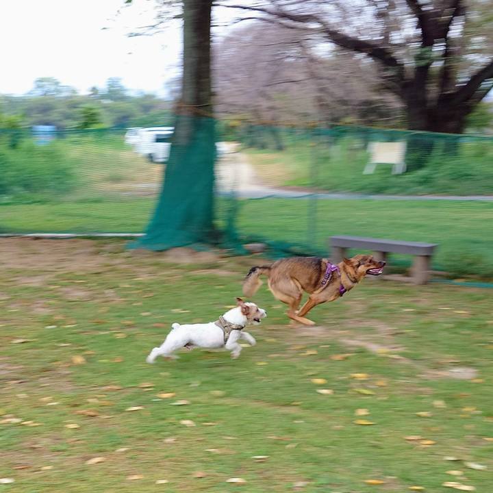 541b8577 872f 430d b514 c6a9028d5a75 1759540091070