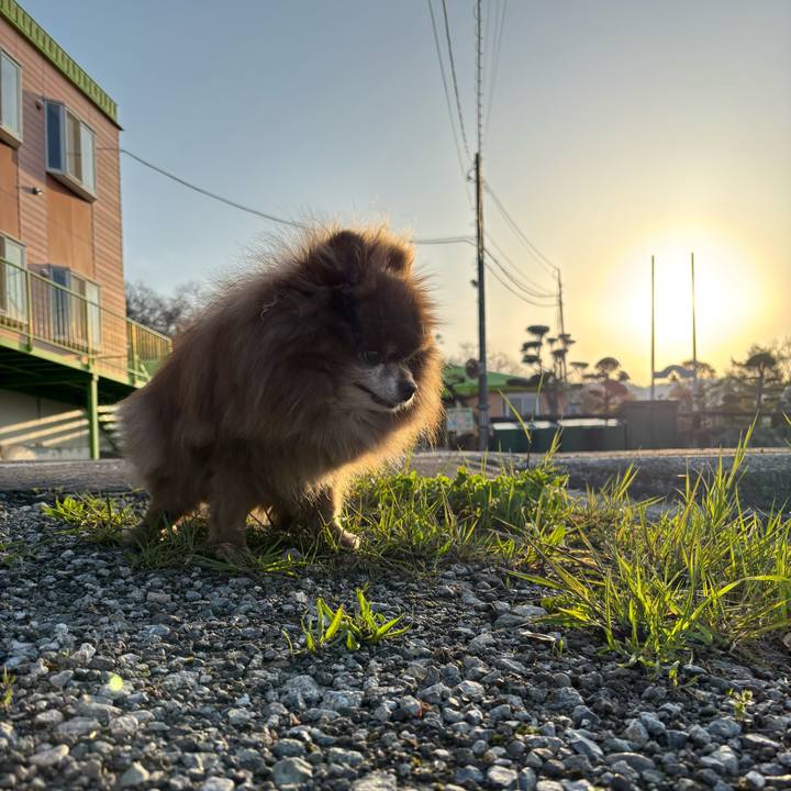 541b876d 70fa 4037 9367 982ada3cb63a 1746778059415