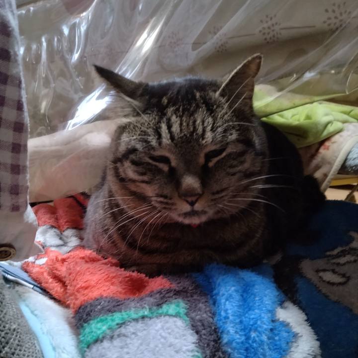 541b8910 6dd1 4a43 b8e5 4d3d6e70423f 1675752602251