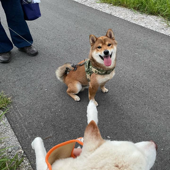 541bab14 0585 42e4 a08e c302ac70dc54 1665315214215