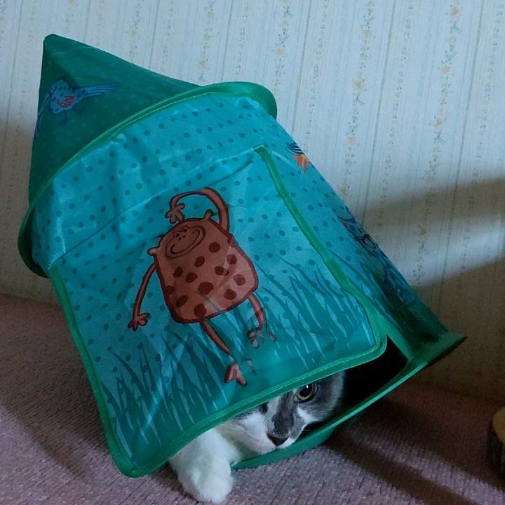 541bb526 7021 4edb 9190 226c3ef9bc17 1599259009323