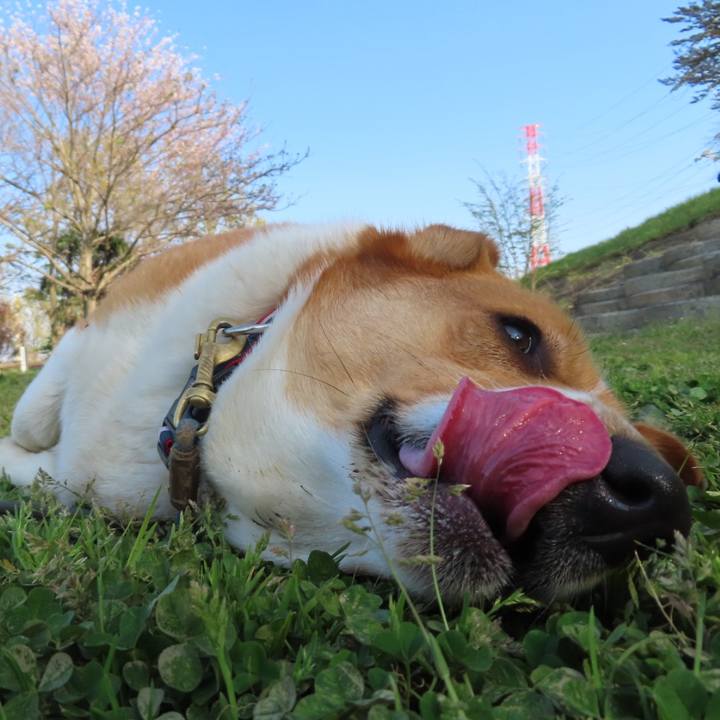 541bfbd5 6c7a 4484 bb4e 743ed1caa933 1649890759645