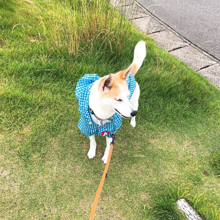 541c31d7 1bfc 4cd3 b7de 3c2e9b74e0d8 1591949944797