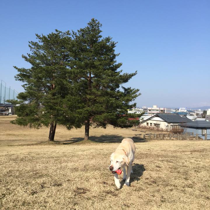 541c3f19 f6b2 43e5 a705 c90823136474 1522133048215