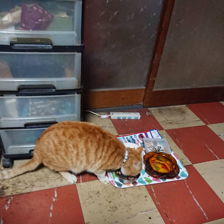 541c44fc 13a8 4110 a4e5 fb46aa8f06f6 1587157514719