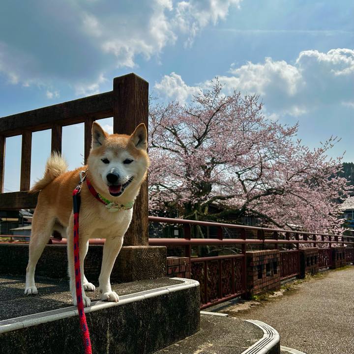 541c80e6 1fd0 497b a0a7 7593b23a8dec 1774696017713