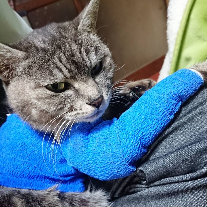 541d0832 06bd 46fe b829 104393918275 1586858969842