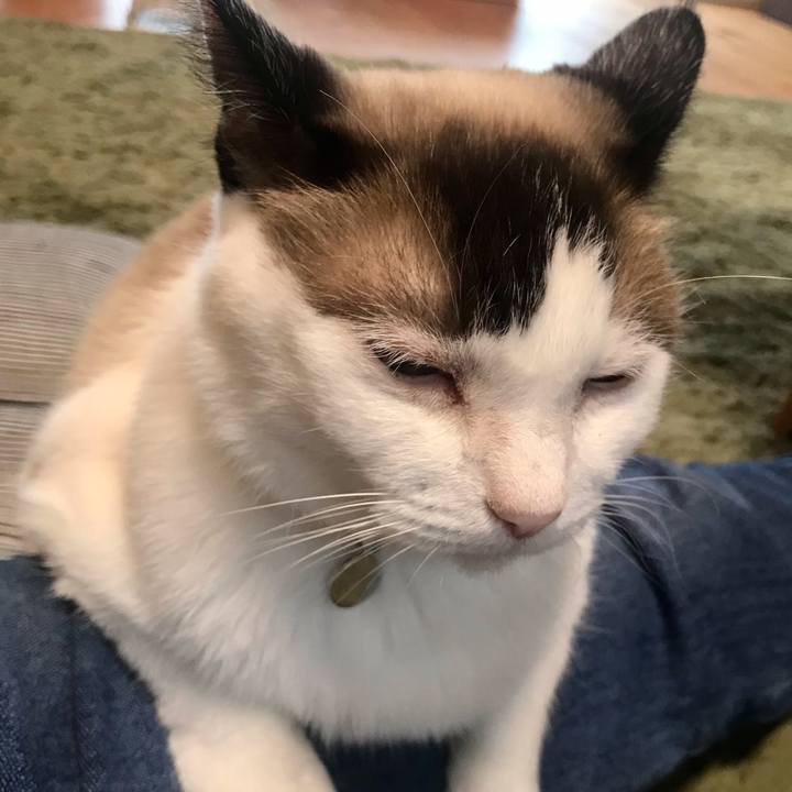 541d5ad9 738b 46aa 827d 122b03dbecb7 1627173893702