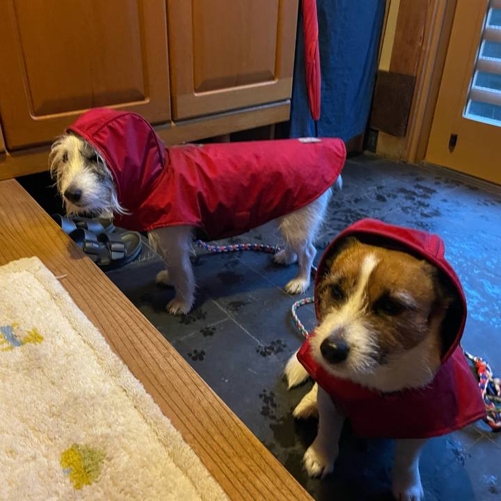 541da01b 39c3 4a83 a9c6 73c550a3372b 1738190890431