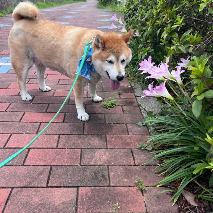 541da856 a17b 497a aa1e ac851dd73894 1719888370934