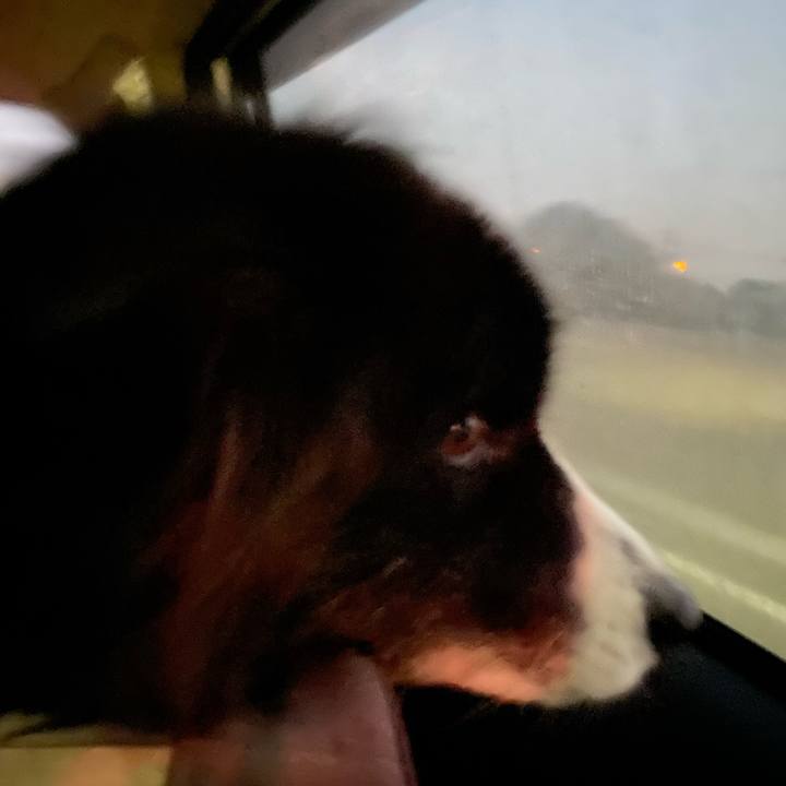 541dc86a 600b 438e ad7a 66e2e432530d 1673215059514