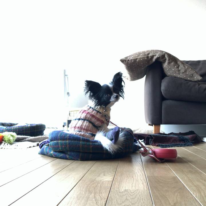 541dd028 3662 49df 93ab 7722951dcf5d 1511221009179