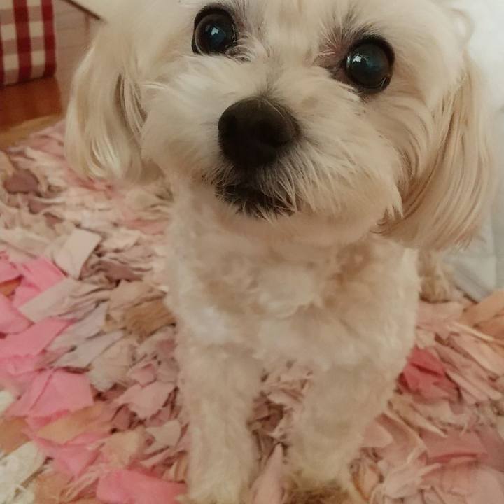 541ddf68 8183 4f1c a00b 574d71bdb33b 1598965367401