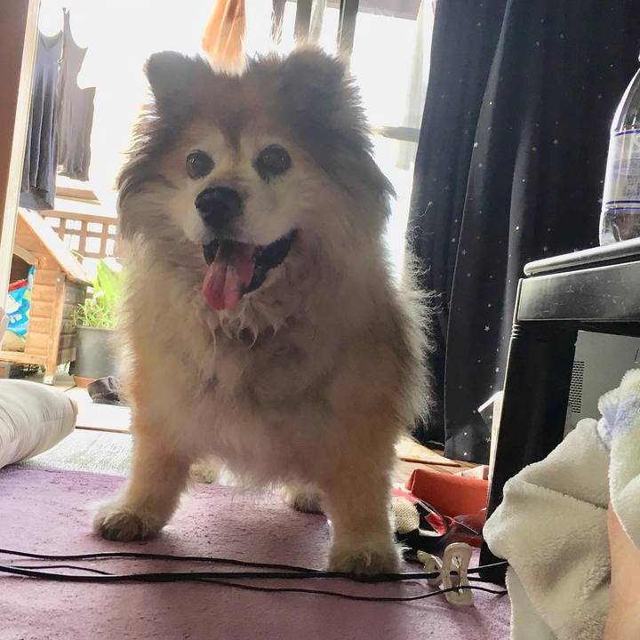 541de12d f4da 4672 961a 8187640097a5 1660283839995